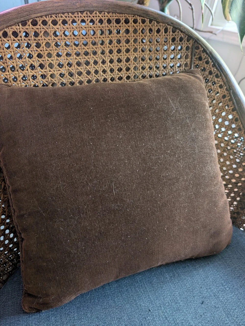 70's Vintage MCM 12x13 Black And Sage Cat Pattern Wool Needlepoint Throw Pillow.